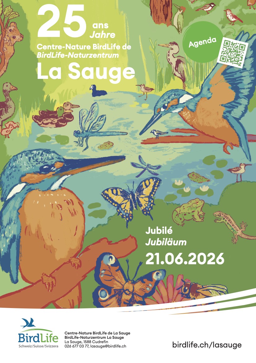 jubilé