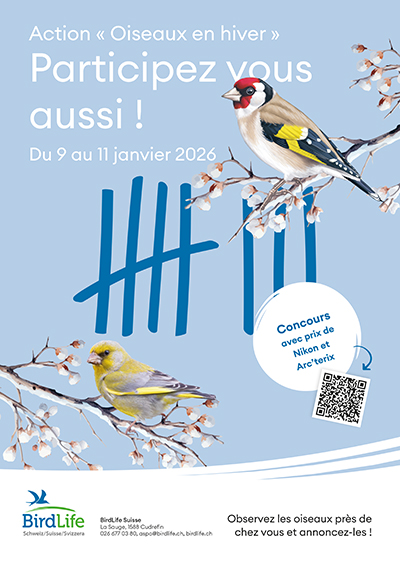 flyer_gartenvoegel_d.jpg