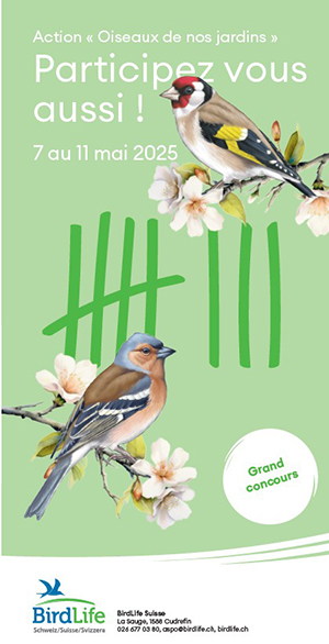 broschuere_gartenvoegel_neu.jpg