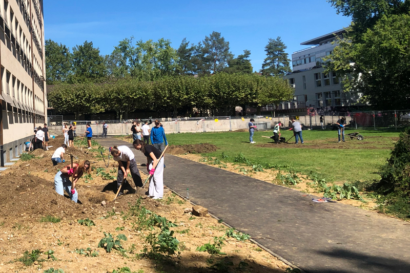 Sch&uuml;ler und Sch&uuml;llerinnen an der Arbeit