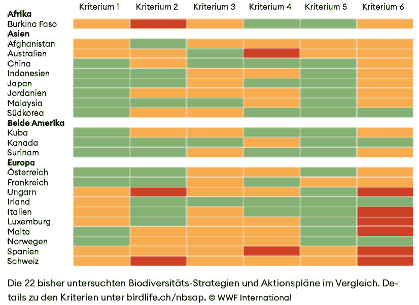 Grafik