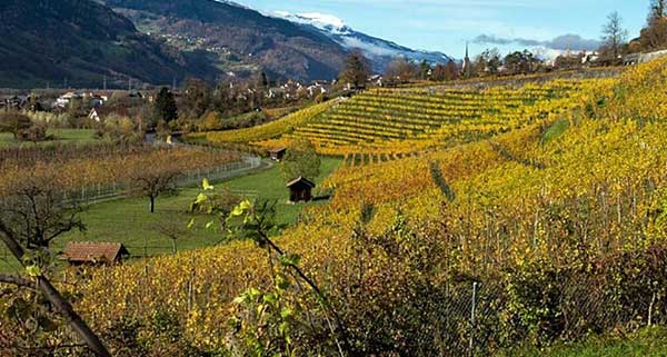 herrschaft_600px.jpg