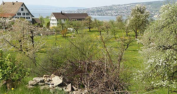 horgen_600px.jpg