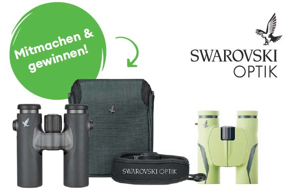 Wettbewerb
