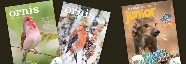 BirdLife-Zeitschriften