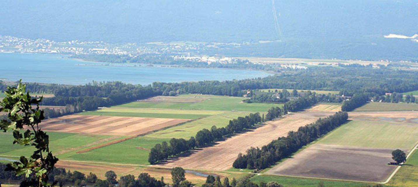 IBA 004 Grosses Moos und Stausee Niederried