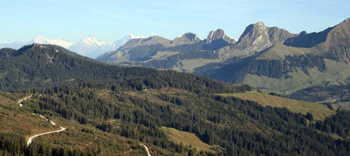 IBA 017 Gurnigel - Gantrisch