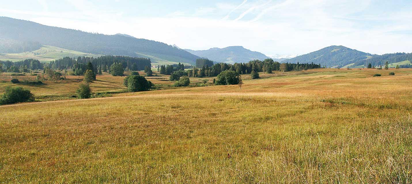 Schutz der Moore und Moorlandschaften: st&auml;ndiges Engagement n&ouml;tig