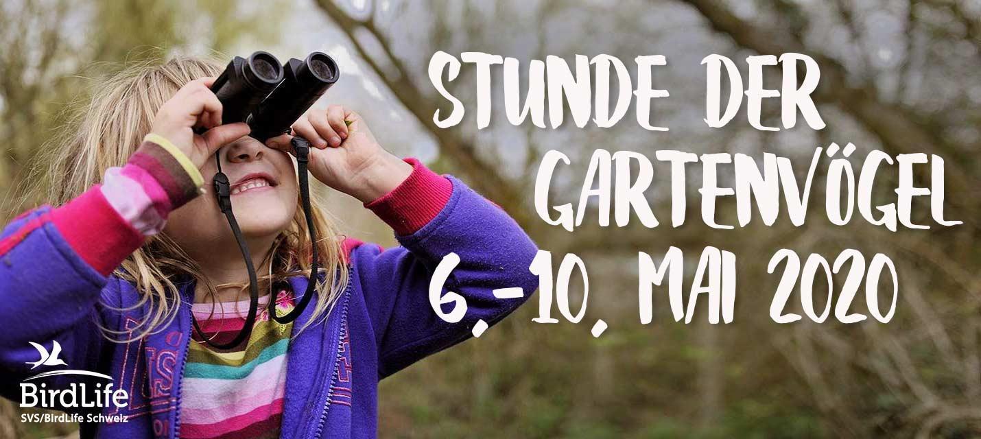 Stunde der Gartenv&ouml;gel 6.&ndash;10. Mai 2020