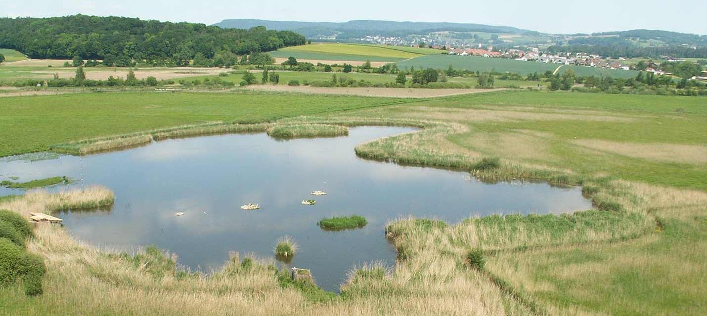 Marais de Neerach