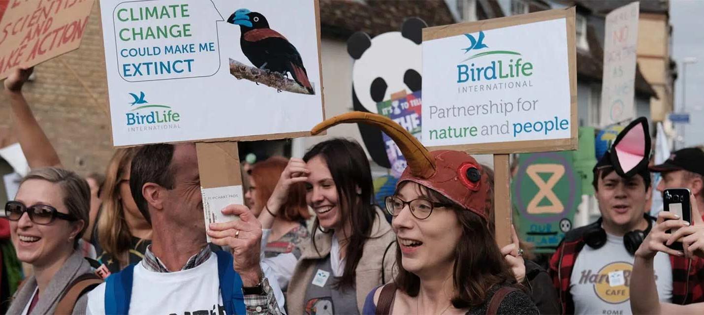 &copy; BirdLife International