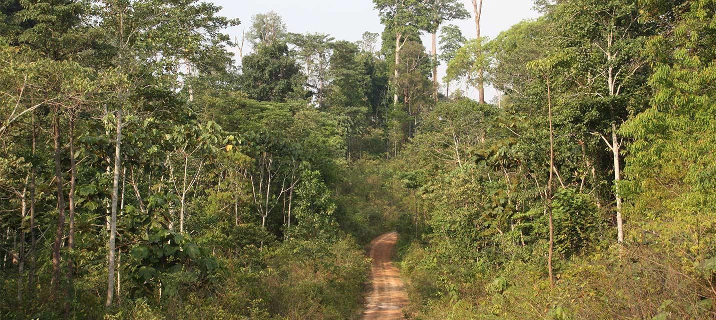 Harapan, Sumatra