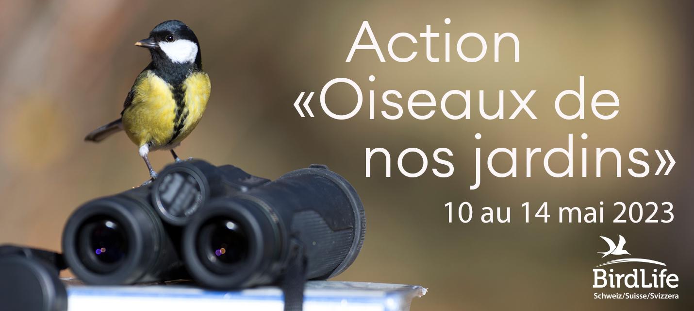 Logo action oiseaux de nos jardins