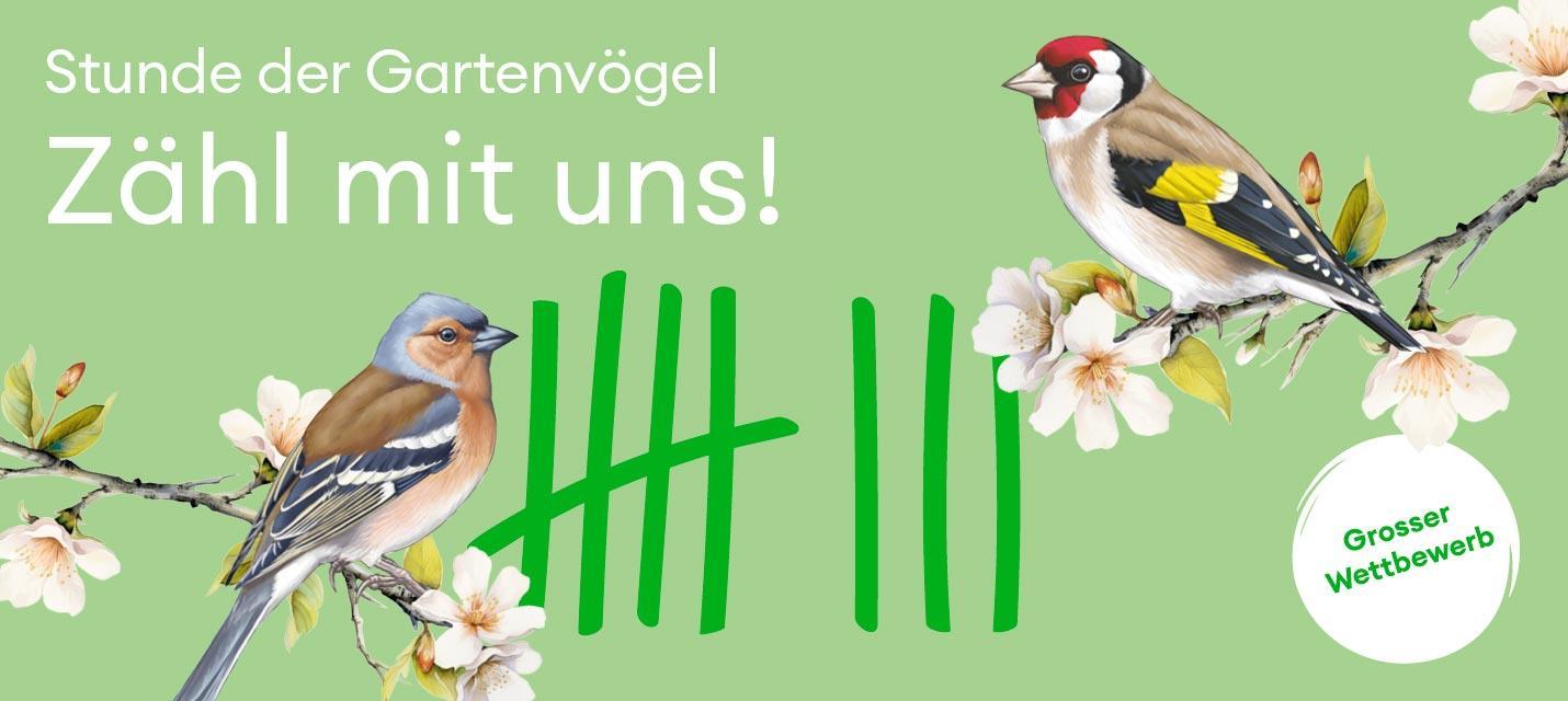 Stunde der Gartenv&ouml;gel Logo