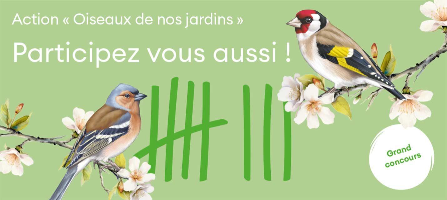 Action "Oiseaux de nos jardins" pour les &eacute;coles