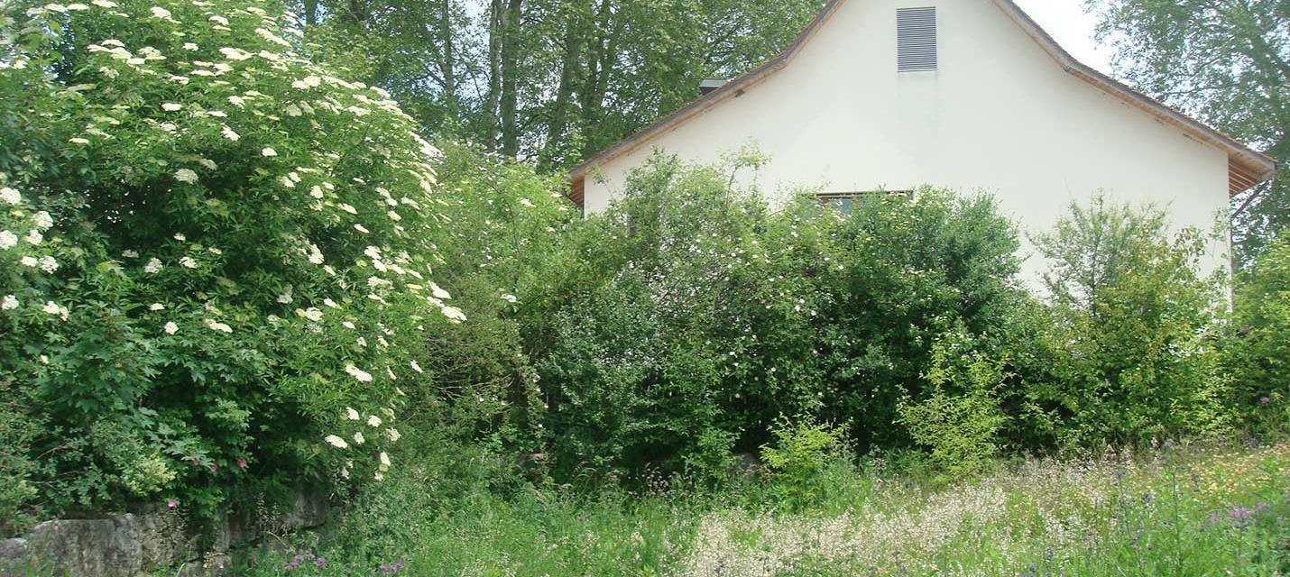 Arbres et arbustes dans les agglom&eacute;rations