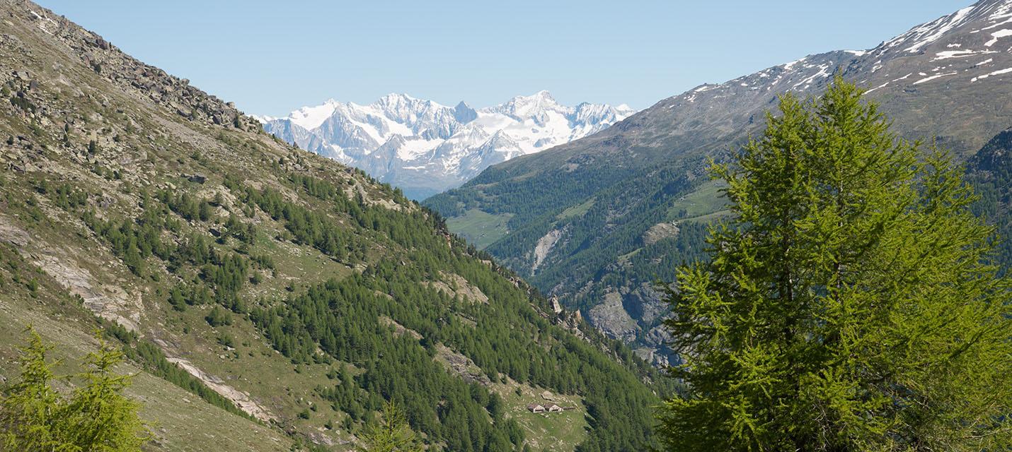 Saas-Fee