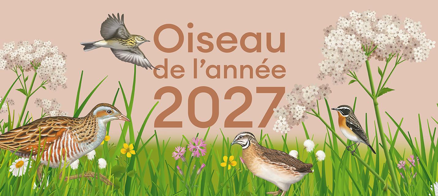 Vote Oiseau de l'ann&eacute;e 2027 logo