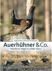 Auerh&uuml;hner & Co. &ndash; Heimliche V&ouml;gel in wilder Natur