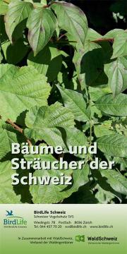 Feldf&uuml;hrer B&auml;ume und Str&auml;ucher der Schweiz