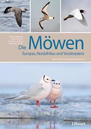 Die M&ouml;wen Europas, Nordafrikas und Vorderasiens