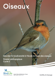 Dossier p&eacute;dagogique Oiseaux