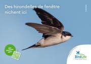 Plaquette en alu Hirondelle de fen&ecirc;tre 