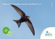 Plaquette en alu Martinet noir