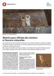 Nichoirs pour faucons cr&eacute;cerelles et effraies des clochers