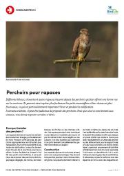 Perchoirs pour rapaces