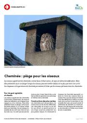 Chemin&eacute;e : pi&egrave;ge pour les oiseaux