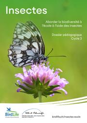 Dossier p&eacute;dagogiques insectes - cycle 3