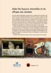 Aider les faucons cr&eacute;cerelles et les effraies des clochers