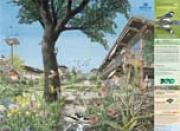 Poster &laquo;Biodiversit&eacute; dans les villes et villages&raquo;