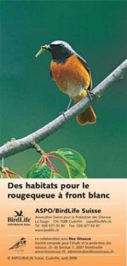 Des habitats pour le rougequeue &agrave; front blanc