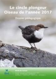 Dossier p&eacute;dagogique Cincle plongeur