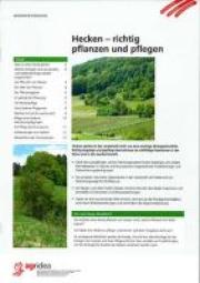 Hecken &ndash; richtig pflanzen und pflegen