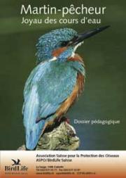 Dossier p&eacute;dagogique Martin-p&ecirc;cheur
