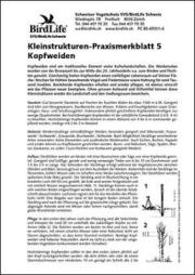 Kleinstrukturen-Praxismerkblatt 5 &ndash; Kopfweiden