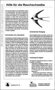 Hilfe f&uuml;r die Rauchschwalbe
