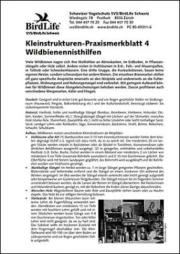 Kleinstrukturen-Praxismerkblatt 4 &ndash; Wildbienennisthilfen