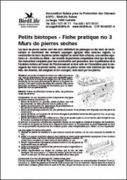 Petits biotopes &ndash; Murs de pierres s&egrave;ches