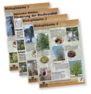 Poster-Serie Wald