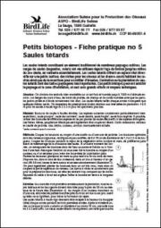 Petits biotopes &ndash; Saules t&ecirc;tards
