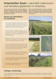 Artenreicher Saum &ndash; Wertvoller Lebensraum und Vernetzungselement im Ackerbau