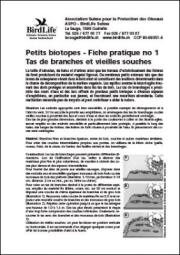 Petits biotopes &ndash; Tas de branches et vieilles souches