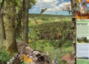 Poster &laquo;&Uuml;bergangsbereiche Wald - Kulturland&raquo;