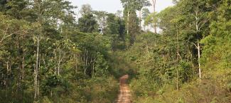 Harapan, Sumatra
