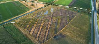 Kiebitzinsel bei Ins
