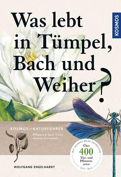 Was lebt in T&uuml;mpel, Bach und Weiher?
